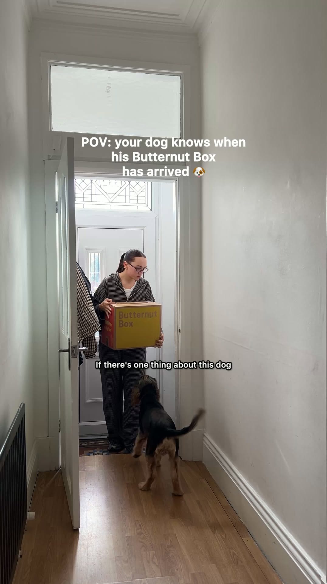 Build your dog's box today