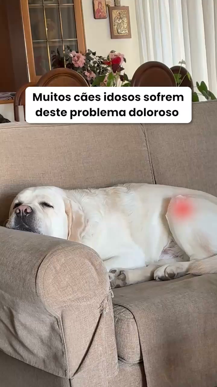 Pastilhas para o cuidado das articulações
