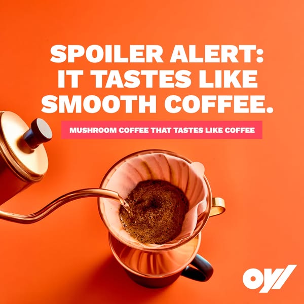 FREE V60 Brewer + FREE Shipping