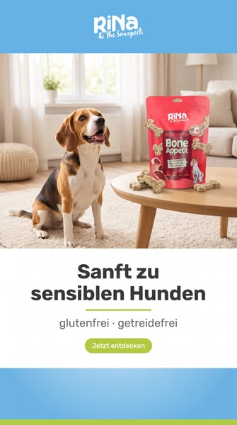 Das Beste für deinen Hund entdecken!