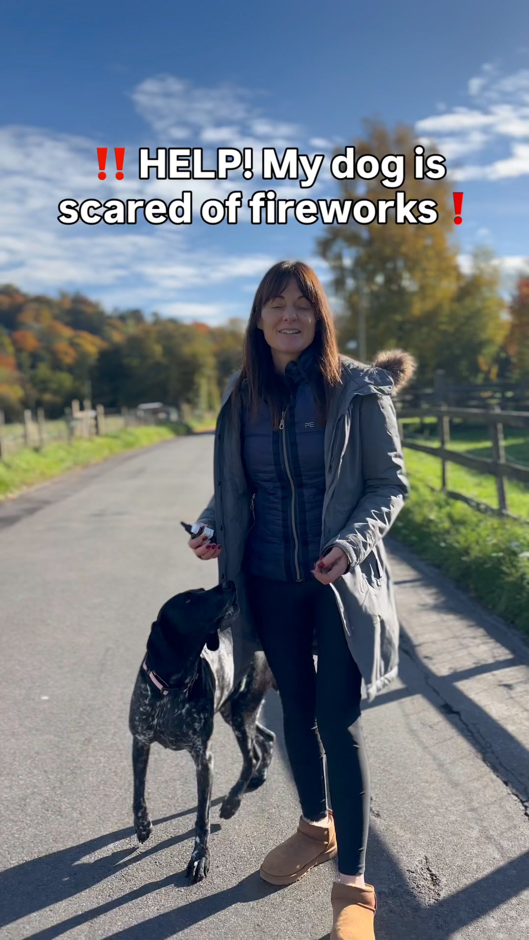 Prep Your Dog for Fireworks