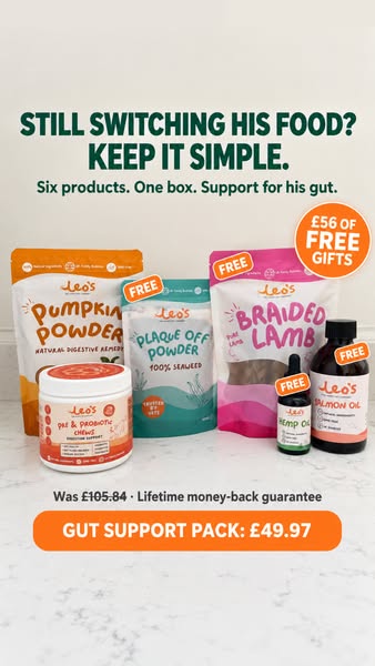 Try RISK FREE. Don't love it? We'll give you a refund.