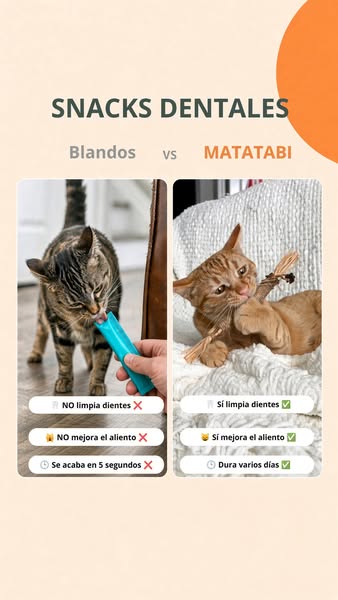 Snack blando vs matatabi