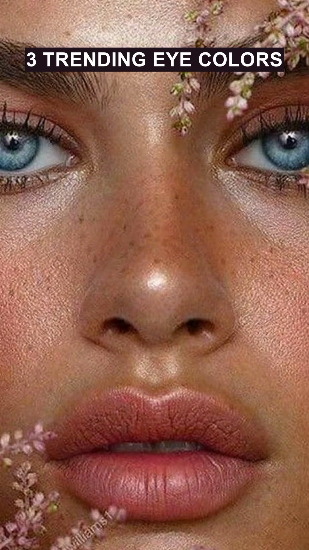Vivid Color — Even on Dark Eyes