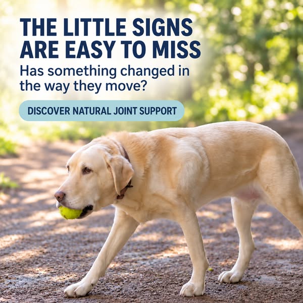 Natural Joint Support for Dogs
