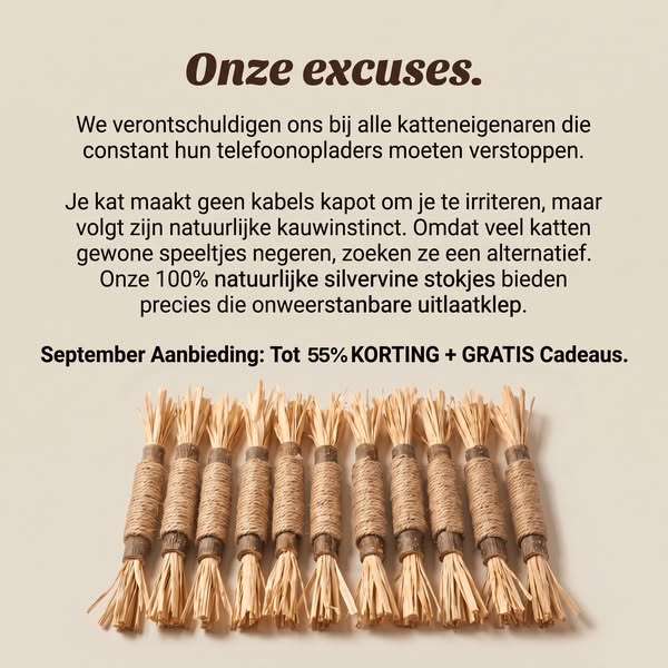 Geef jouw kat de verzorging die hij verdient