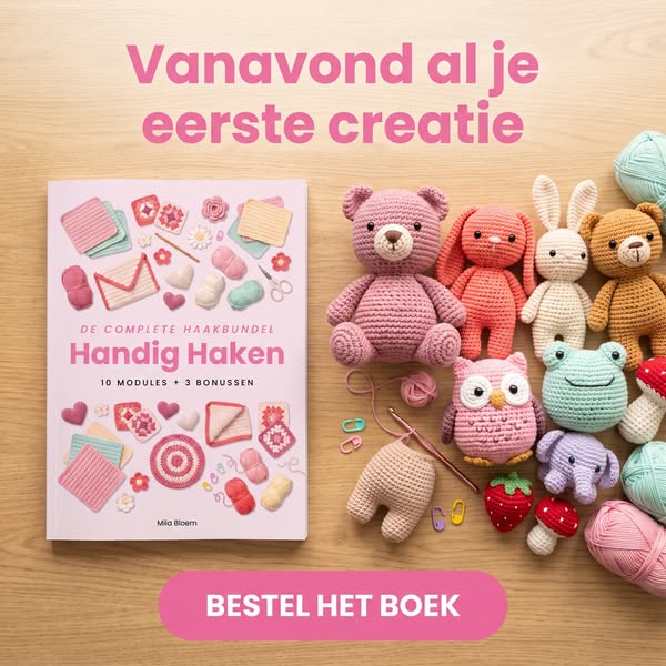 Het fysieke Handig Haken boek