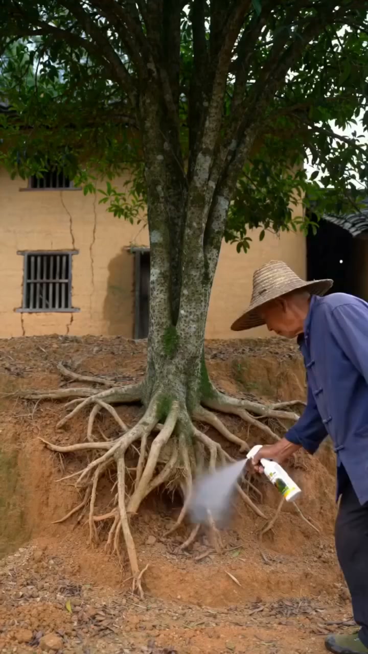 abundanty