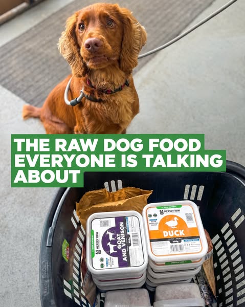 Mersey Raw | Raw Dog Food