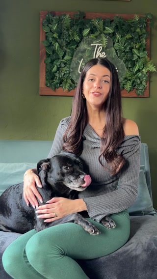Itch-free dog or your money back.