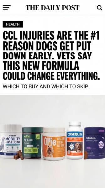 Your Dog's Knee Can Heal Without Surgery. Here's What's Been Missing.
