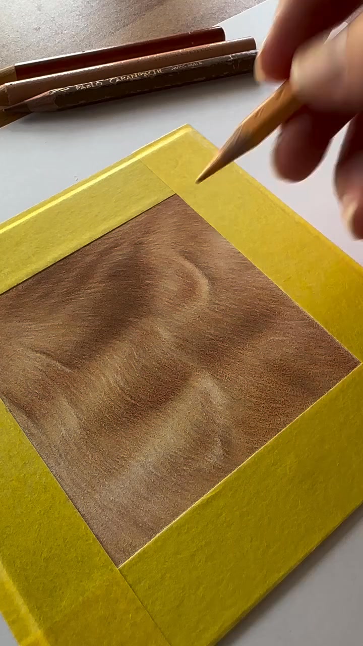 The Stress-Free Guide to Drawing Realistic Fur