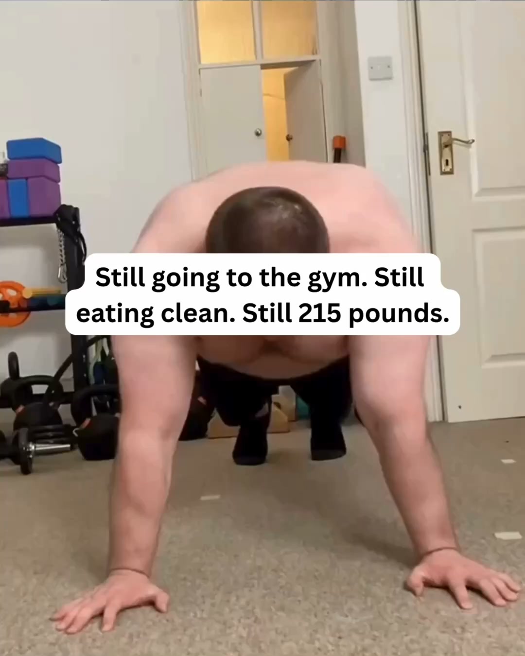 The plateau is not your fault. Your fat transport ran out.