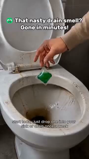 Anúncio de Repeatto