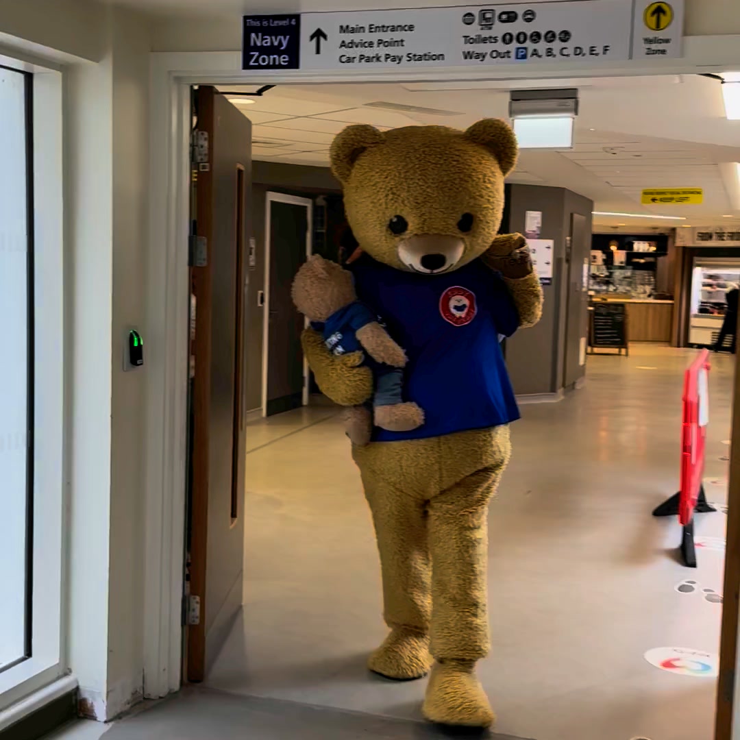 Purchase Your Beary own Eddy the Teddy Today