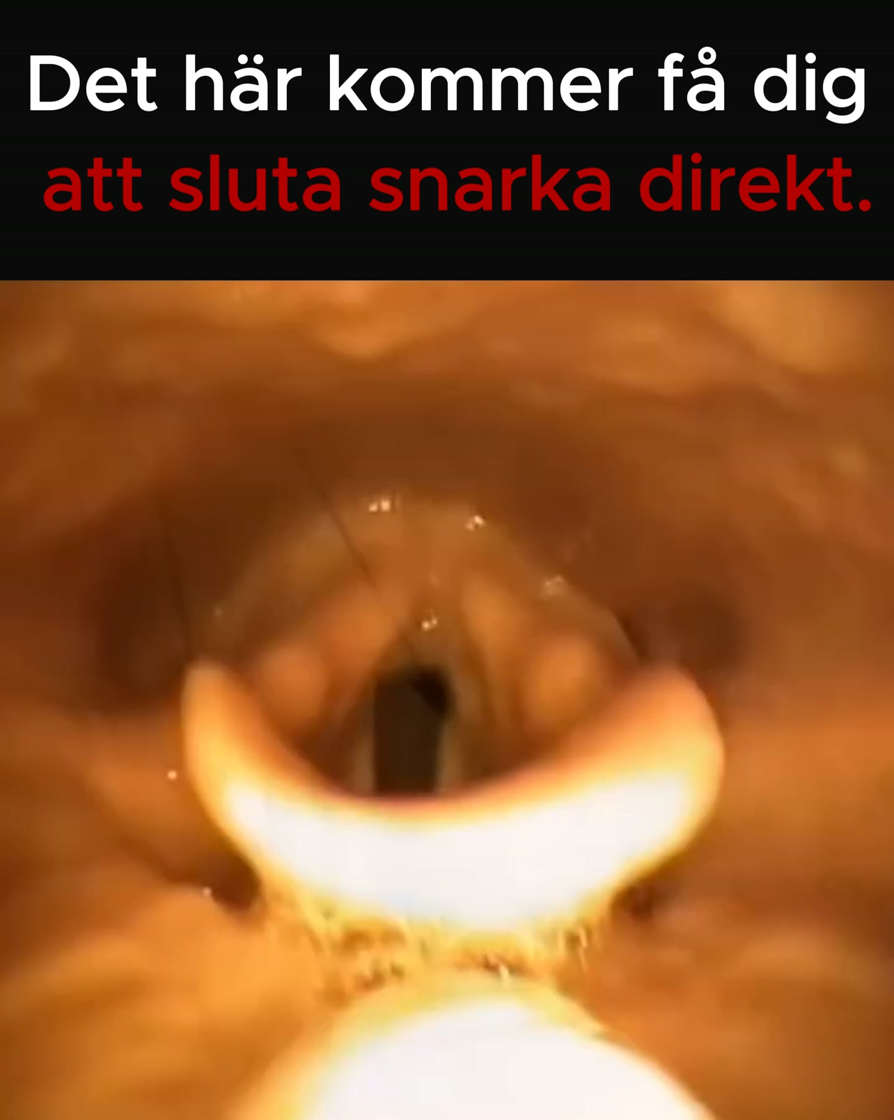 Sluta snarka, sov bättre!