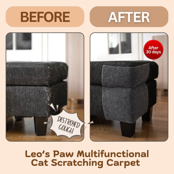 Trusted by Cat Lovers, Loved by Kitties!