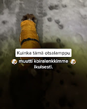Suomen n.1 Otsalamppu Joka Talvi