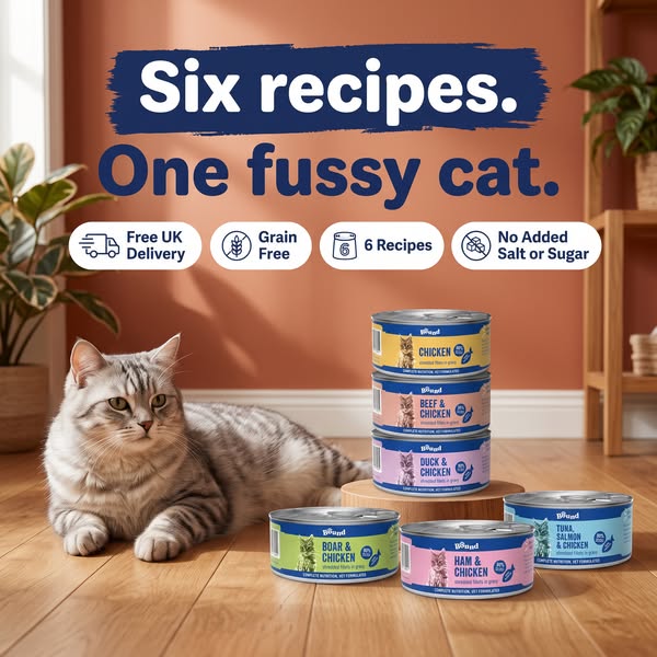 Only £7.99 for 12 Tins!