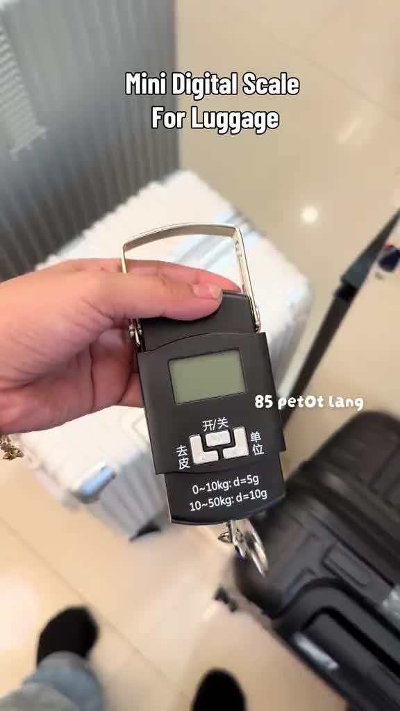 Digital Portable Luggage & Fishing Scale