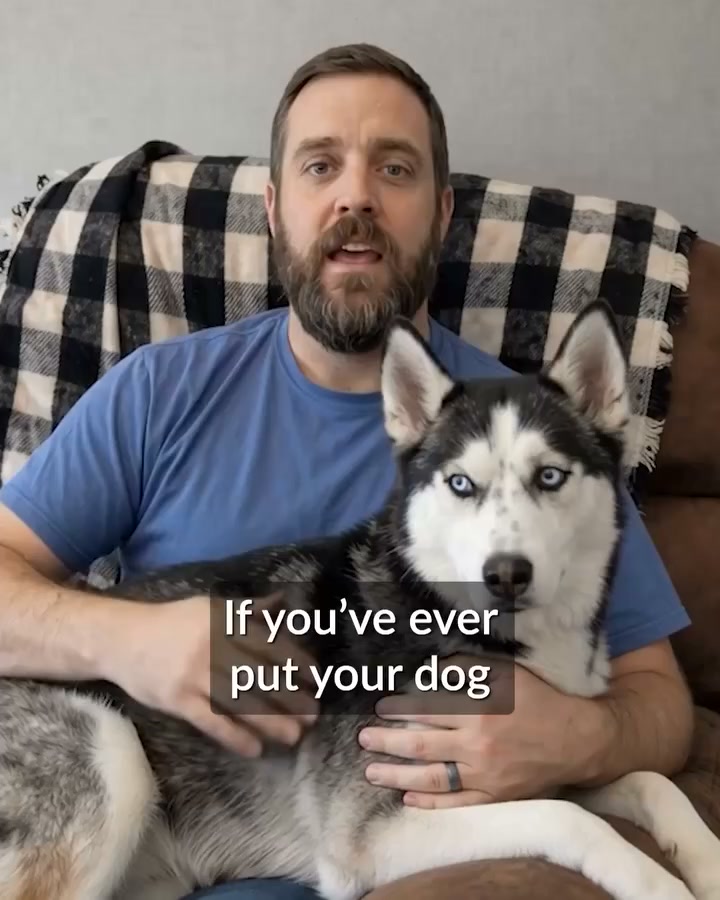 Is Your Dog's Non-Stop Scratching a Sign of a Bigger Problem?
