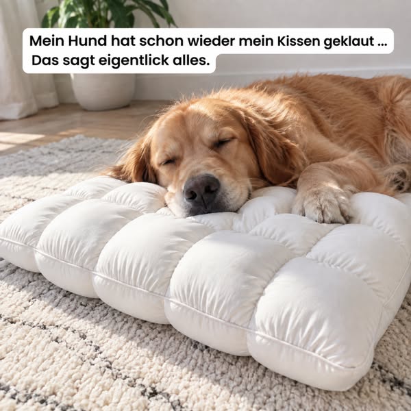 Das Kissen, das sich anfühlt wie Schlafen auf einer Wolke