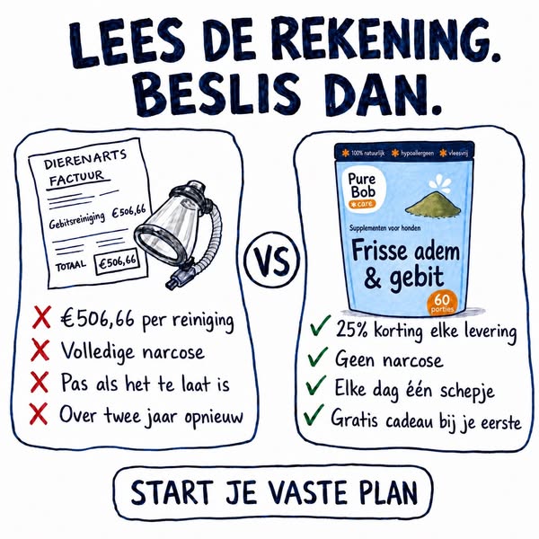 Tot 25% korting op elke hondenlevering