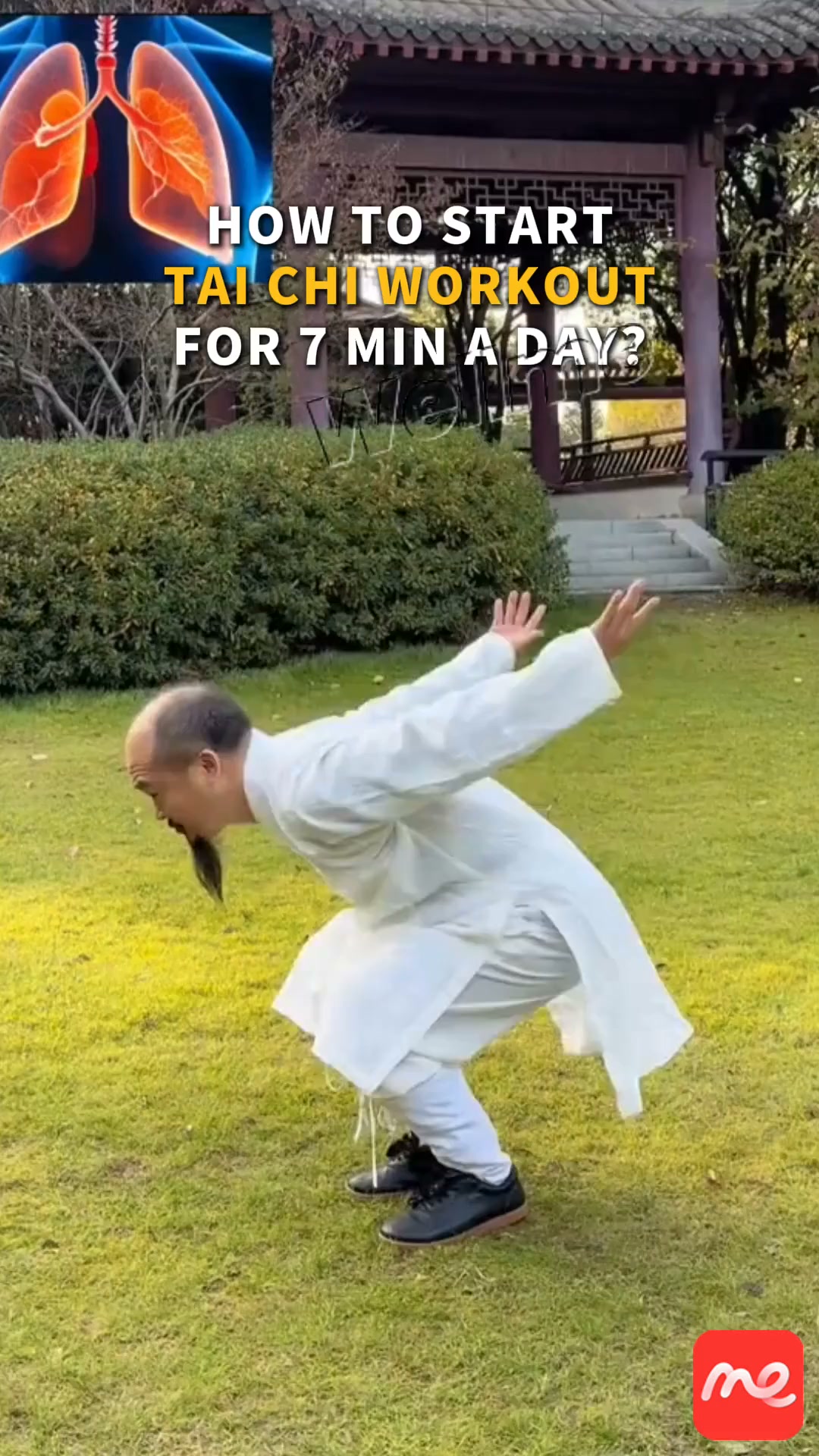 Start Training!