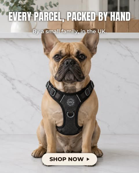Packed By Hand, With Love