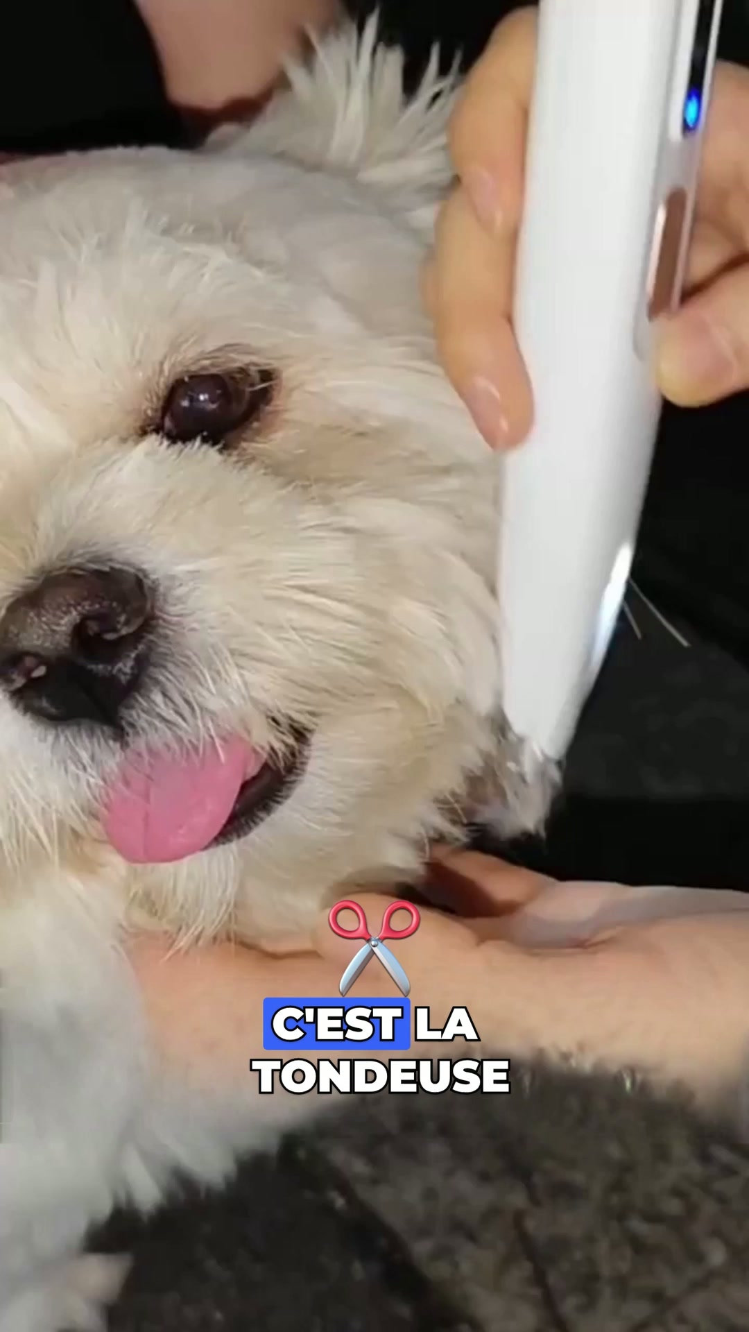 Recommandé par les vétérinaires