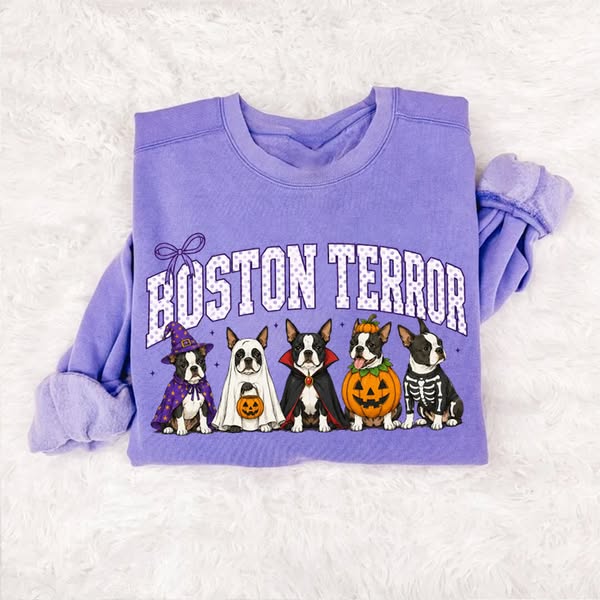 Vintage Boston Terrier Dog Witch Hat T-shirt/Sweatshirt