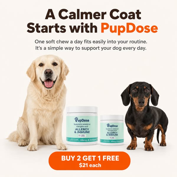 BUY 2 Get 1 FREE — Limited Time
