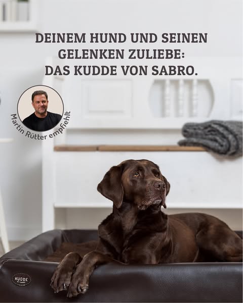 Jetzt sparen beim Kauf von zwei KUDDE