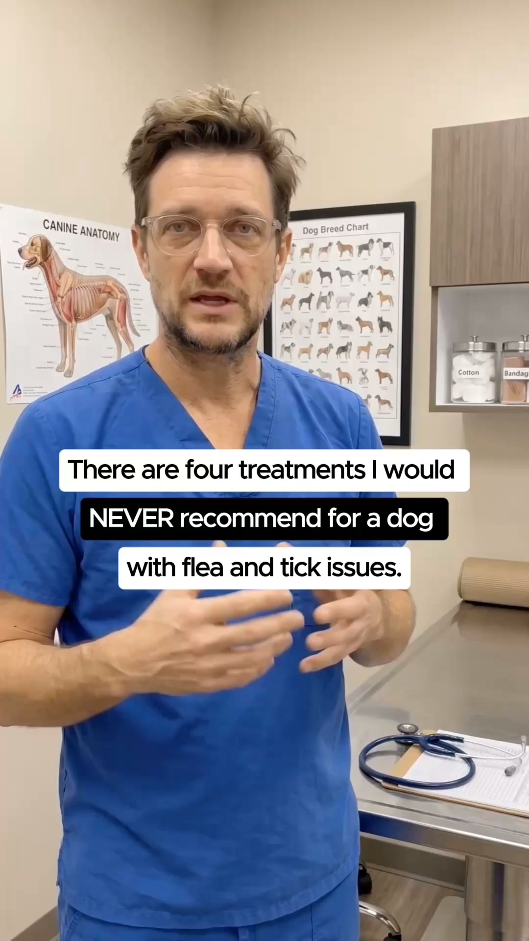 Give Your Dog a Bug-Free Life