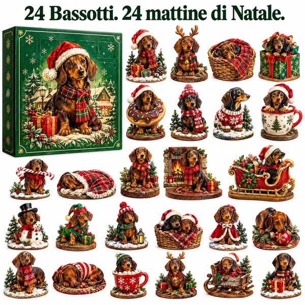 24 Bassotti. Nessuno uguale