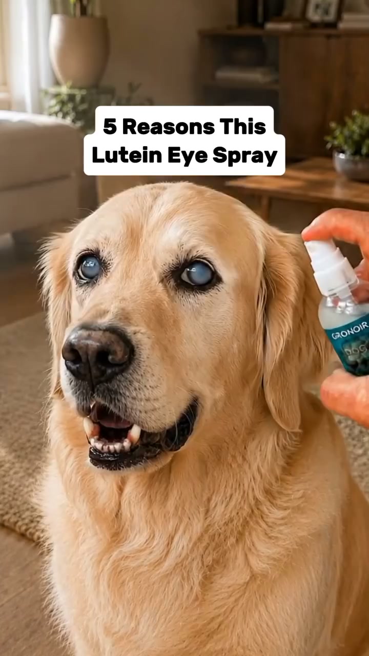 Brighter, Healthier Eyes in Just a Few Sprays!