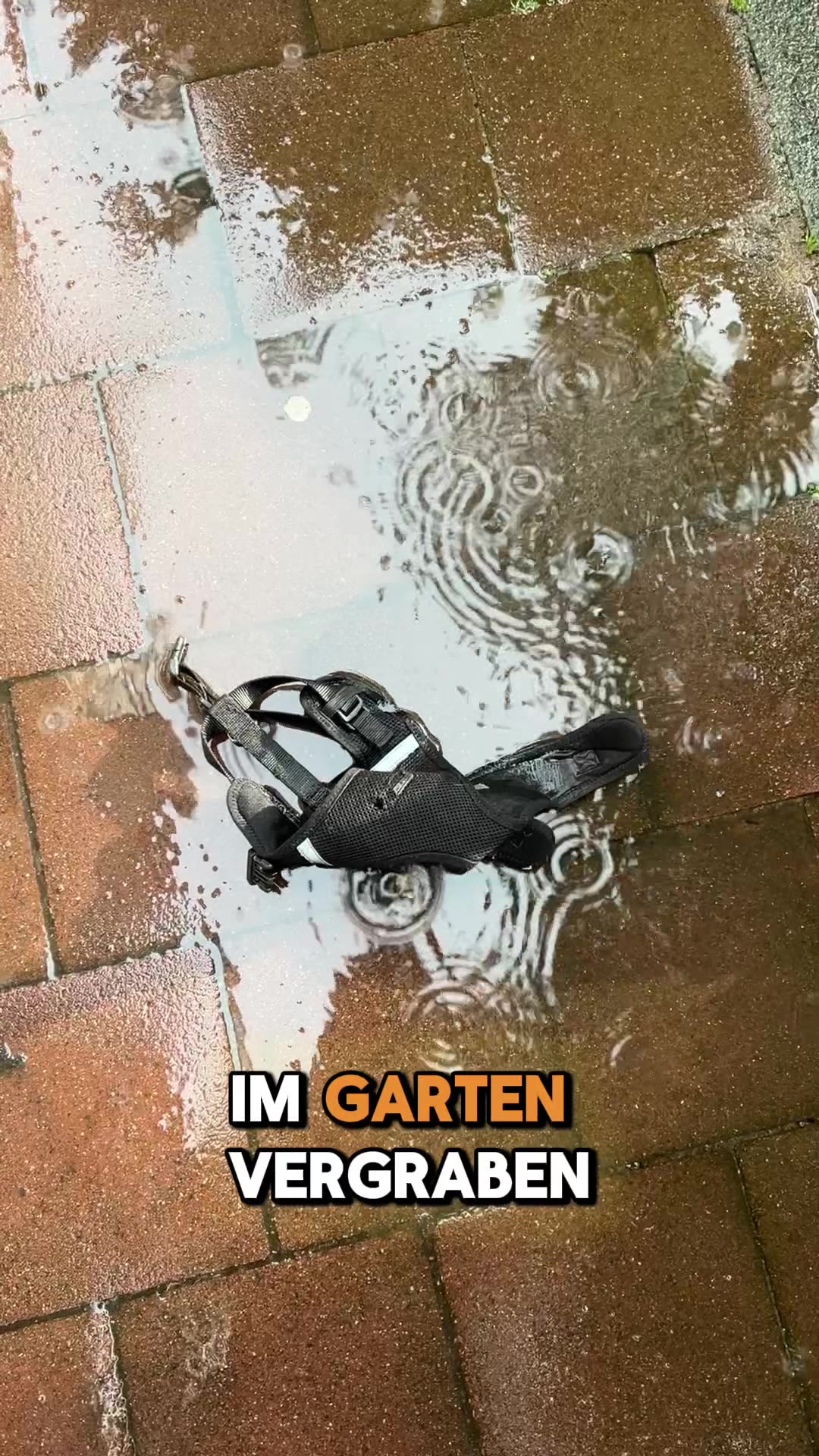 In 2-4 Tagen bei dir