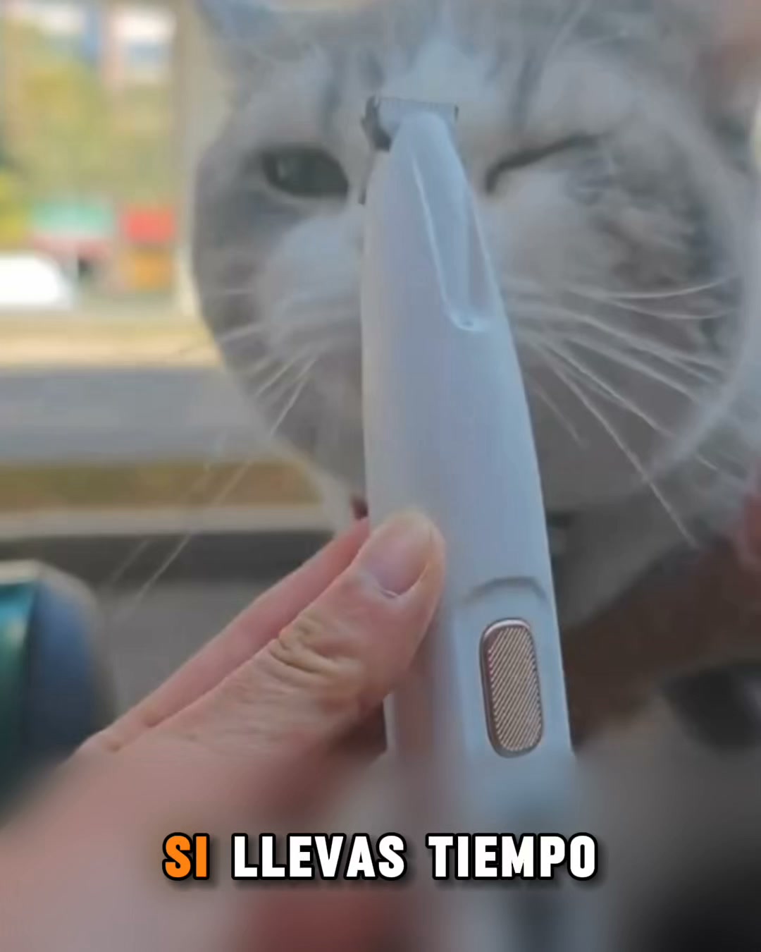 Anúncio de Velaris