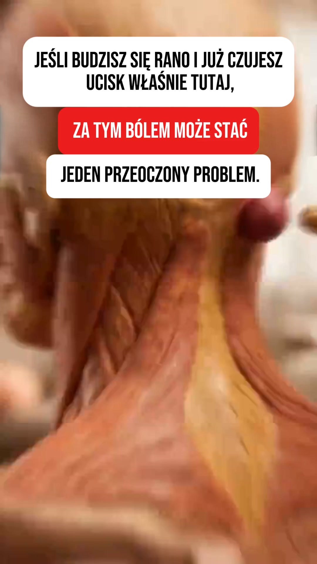 Koniec z bólem karku | 55 000+ zadowolonych użytkowników