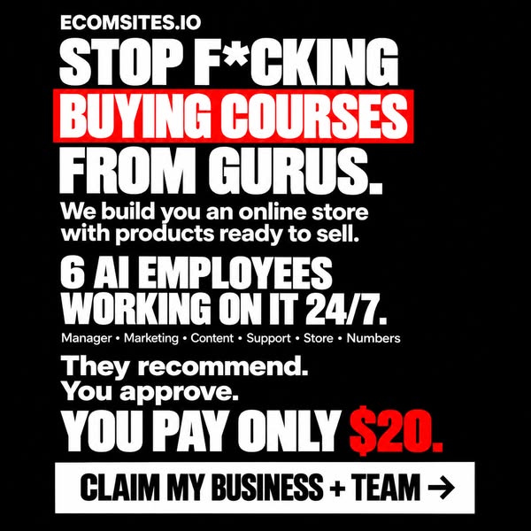 Your $20 AI Ecom Store in 24 Hours.
