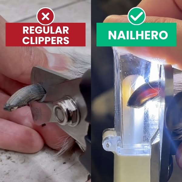 NailHero - See The Quick Before You Cut!