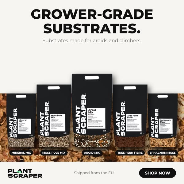 Substrates real growers use