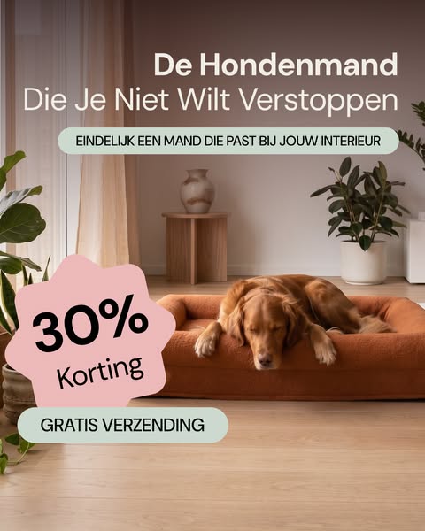 Collectie_Buddy-Beds