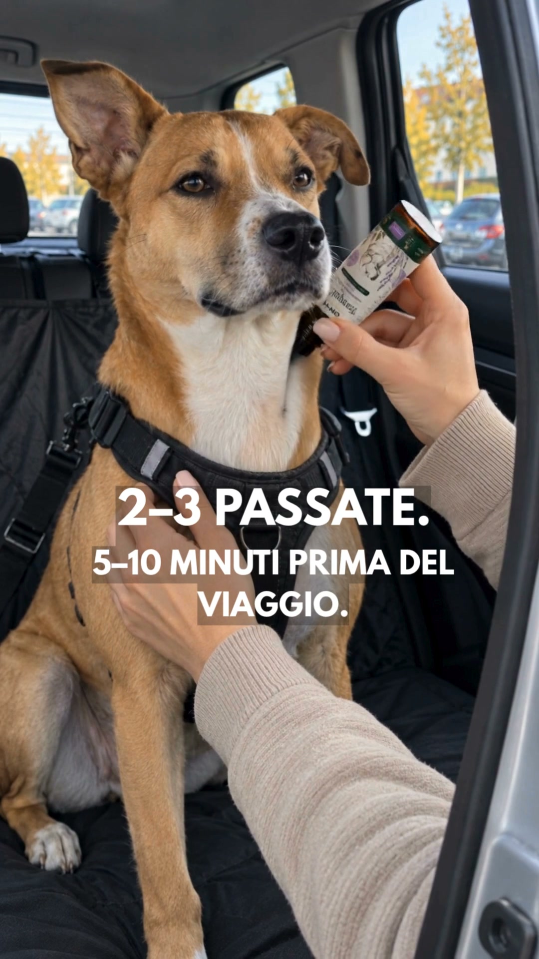 Più sereno quando l’auto parte