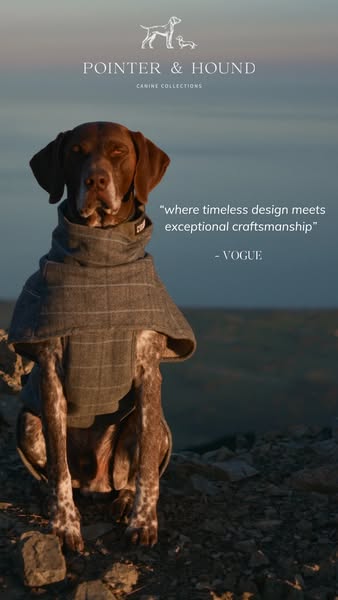 Dog Highland Coat