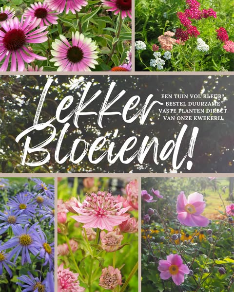 Plant nu, profiteer straks