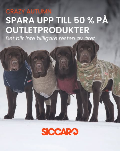 CRAZY AUTUMN: Spara upp till 50 % hos Siccaro