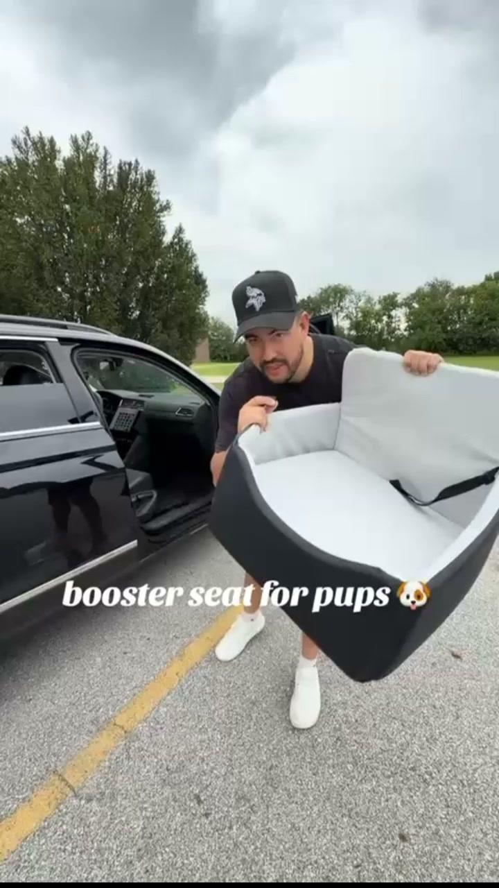 Every Dog Owner Needs One Of These