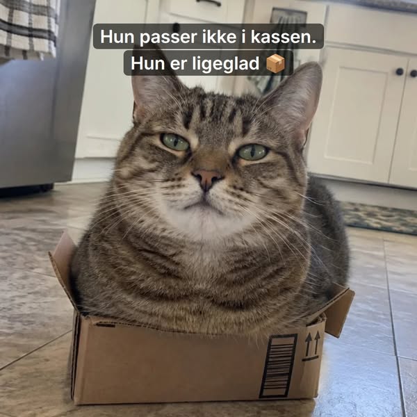 For stor til kassen