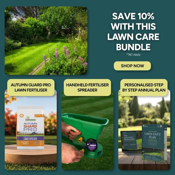 From Brown Patches to a Lush Lawn